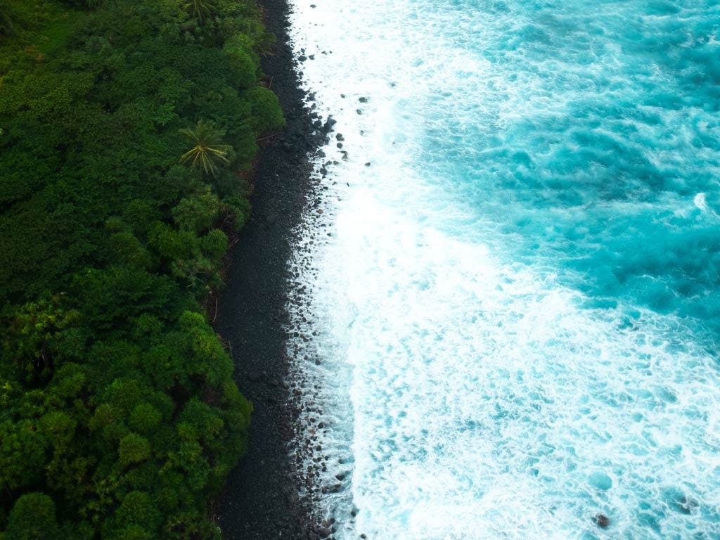 view-of-beautiful-hawaii-beach