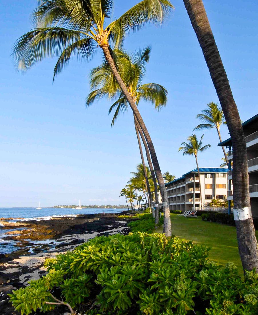 green-area-facing-the-sea-of-hawaii